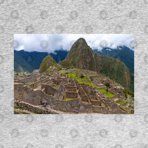 Machu Picchu, Inca Civilization, Peru, Andes Mountains by SafariByMarisa